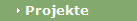 Projekte