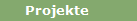 Projekte